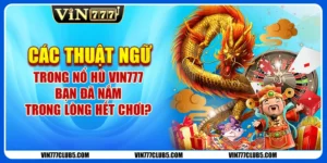 Các Thuật Ngữ Trong Nổ Hũ VIN777: Bạn Đã Rõ Hết Chưa?