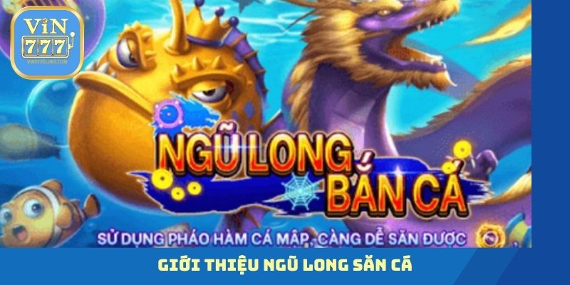 Giới thiệu ngũ long săn cá