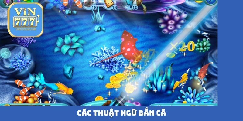 Các thuật ngữ bắn cá