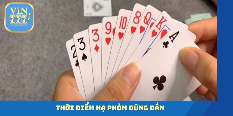 Thời điểm hạ phỏm đúng đắn