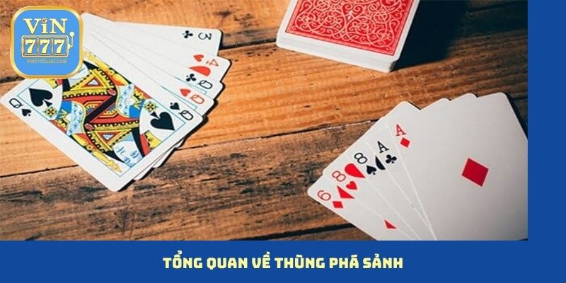 Tổng quan về thùng phá sảnh